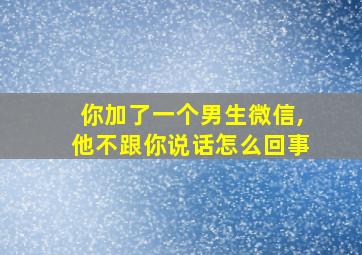 你加了一个男生微信,他不跟你说话怎么回事