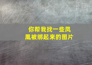 你帮我找一些凤凰被绑起来的图片