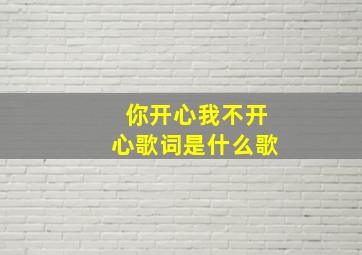 你开心我不开心歌词是什么歌