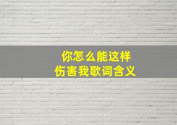 你怎么能这样伤害我歌词含义