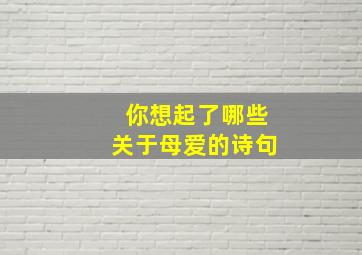 你想起了哪些关于母爱的诗句