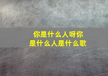 你是什么人呀你是什么人是什么歌