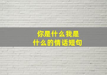 你是什么我是什么的情话短句