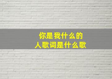 你是我什么的人歌词是什么歌