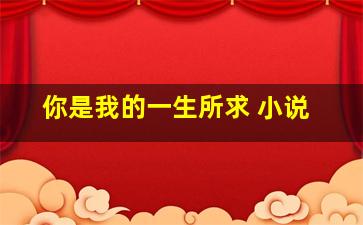 你是我的一生所求 小说