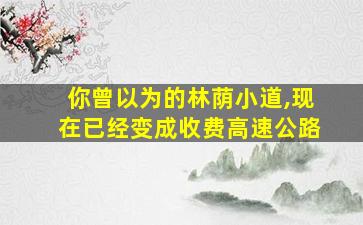 你曾以为的林荫小道,现在已经变成收费高速公路