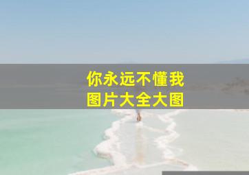 你永远不懂我图片大全大图