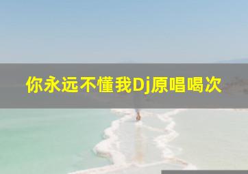 你永远不懂我Dj原唱喝次