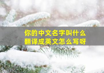 你的中文名字叫什么翻译成英文怎么写呀