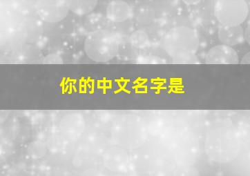 你的中文名字是