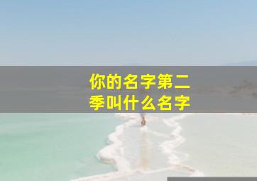 你的名字第二季叫什么名字