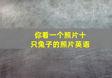 你看一个照片十只兔子的照片英语