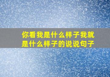 你看我是什么样子我就是什么样子的说说句子