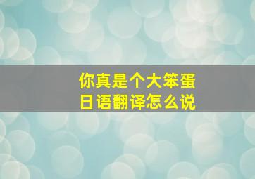 你真是个大笨蛋日语翻译怎么说