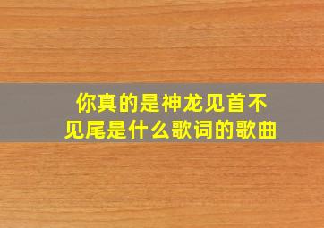 你真的是神龙见首不见尾是什么歌词的歌曲