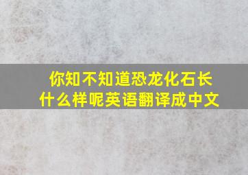 你知不知道恐龙化石长什么样呢英语翻译成中文