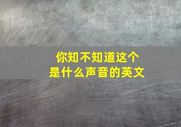 你知不知道这个是什么声音的英文