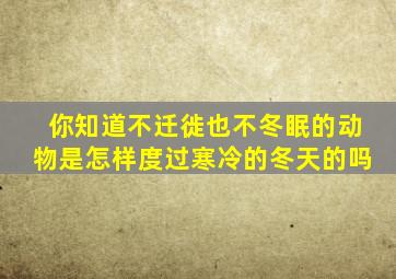 你知道不迁徙也不冬眠的动物是怎样度过寒冷的冬天的吗