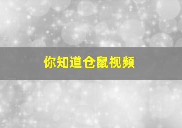 你知道仓鼠视频