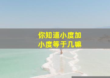 你知道小度加小度等于几嘛