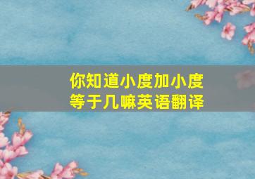 你知道小度加小度等于几嘛英语翻译