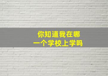 你知道我在哪一个学校上学吗