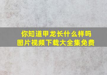 你知道甲龙长什么样吗图片视频下载大全集免费