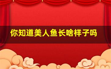 你知道美人鱼长啥样子吗