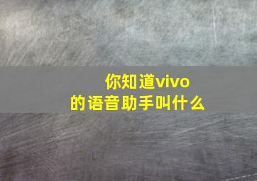 你知道vivo的语音助手叫什么