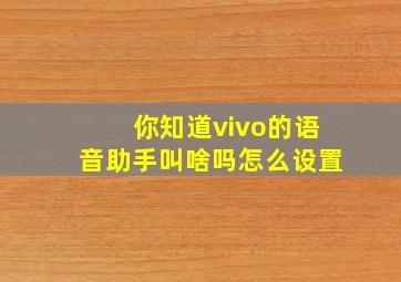 你知道vivo的语音助手叫啥吗怎么设置