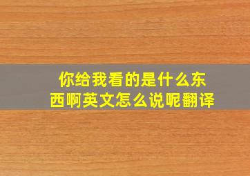 你给我看的是什么东西啊英文怎么说呢翻译