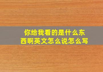 你给我看的是什么东西啊英文怎么说怎么写