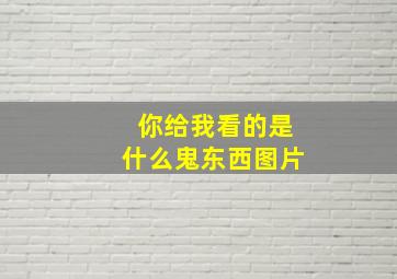 你给我看的是什么鬼东西图片