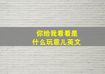 你给我看看是什么玩意儿英文