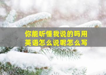 你能听懂我说的吗用英语怎么说呢怎么写