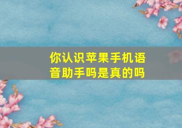 你认识苹果手机语音助手吗是真的吗