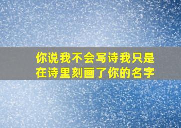 你说我不会写诗我只是在诗里刻画了你的名字