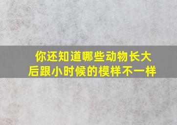 你还知道哪些动物长大后跟小时候的模样不一样