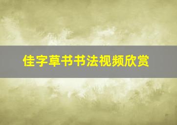 佳字草书书法视频欣赏