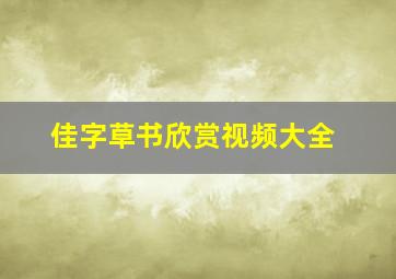 佳字草书欣赏视频大全