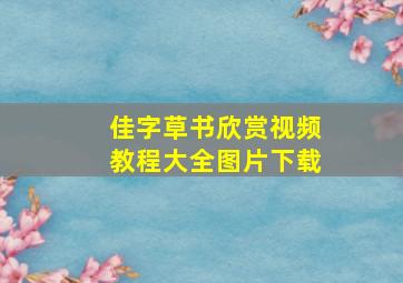 佳字草书欣赏视频教程大全图片下载