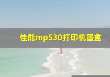 佳能mp530打印机墨盒