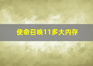 使命召唤11多大内存