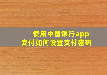 使用中国银行app支付如何设置支付密码