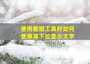 使用截图工具时如何使屏幕下拉显示文字