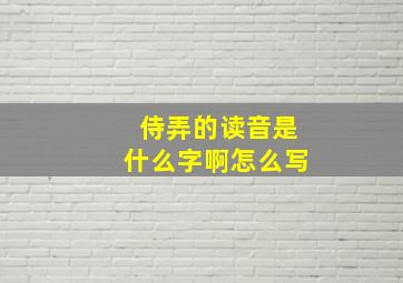 侍弄的读音是什么字啊怎么写