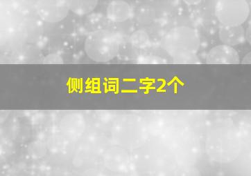 侧组词二字2个