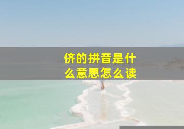 侪的拼音是什么意思怎么读