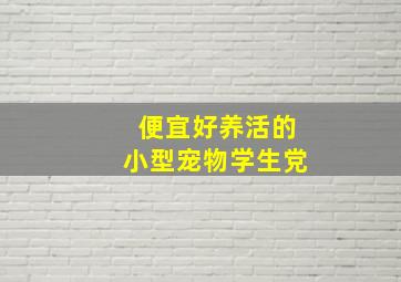 便宜好养活的小型宠物学生党