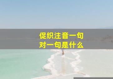 促织注音一句对一句是什么